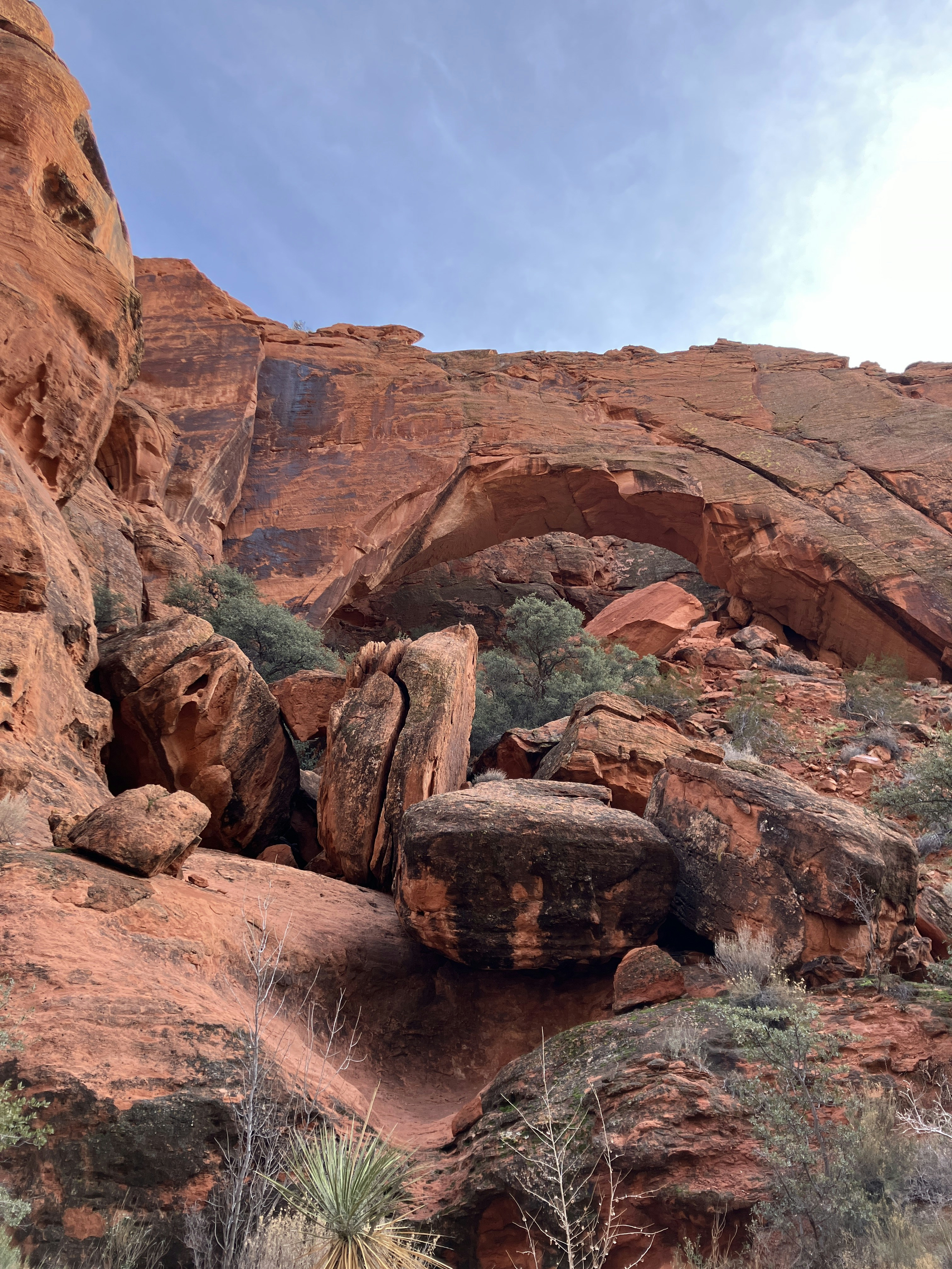 Photo by heathernuffer