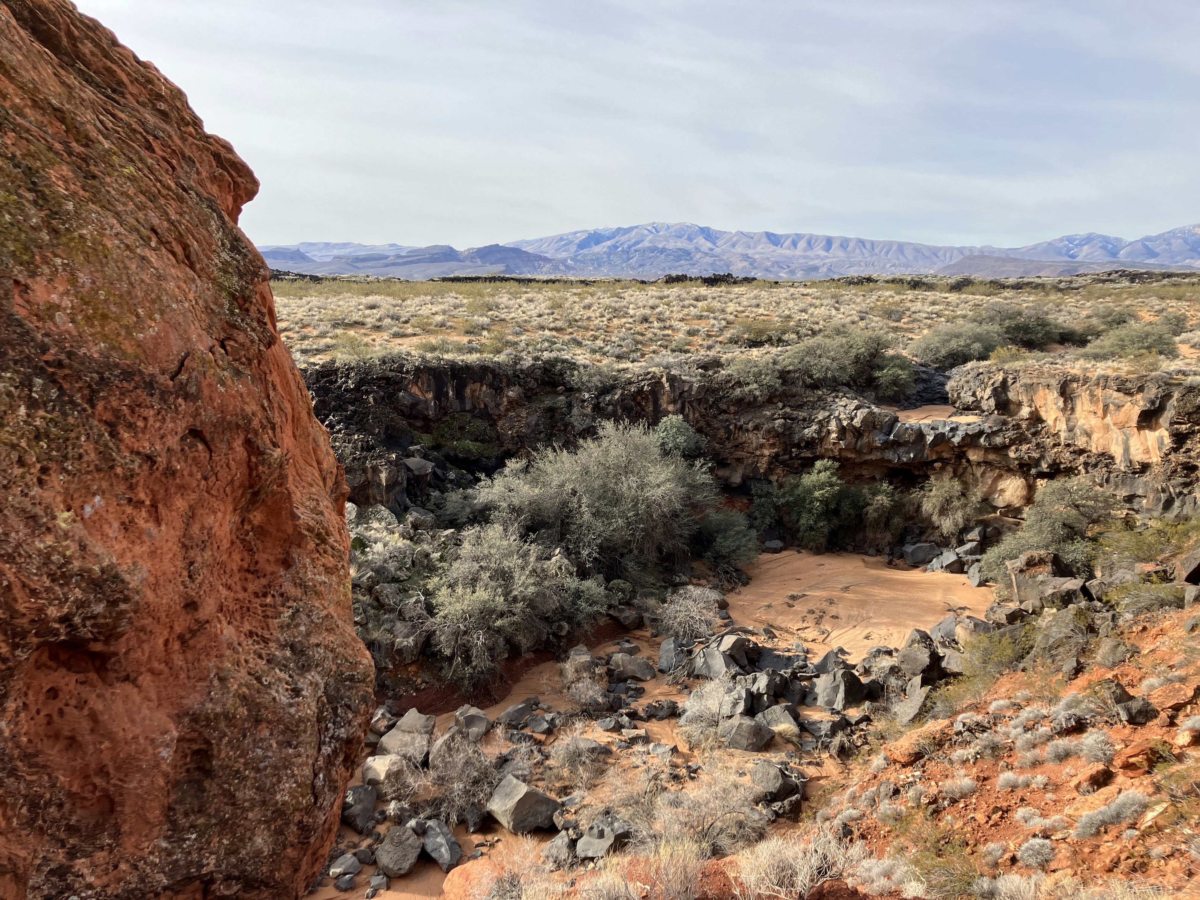 Photo by heathernuffer