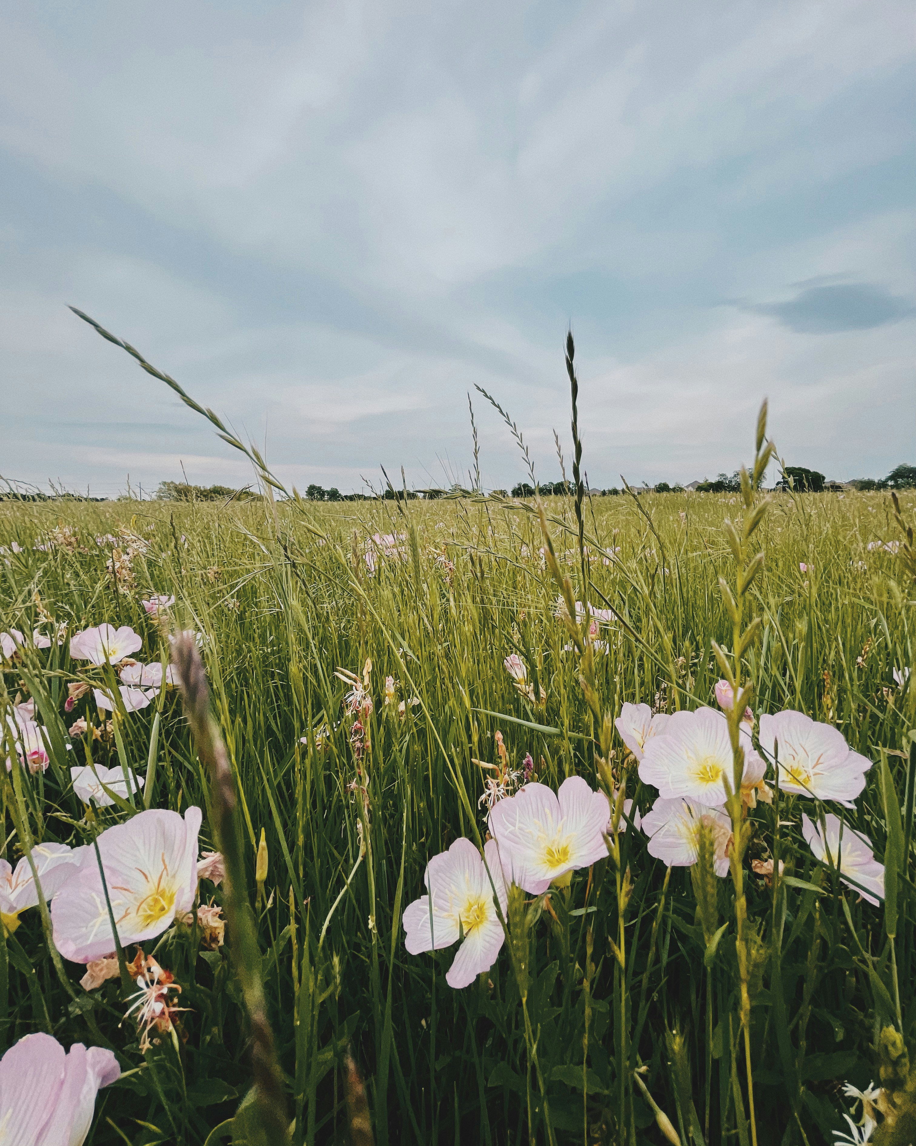 Photo by sombrerocraft