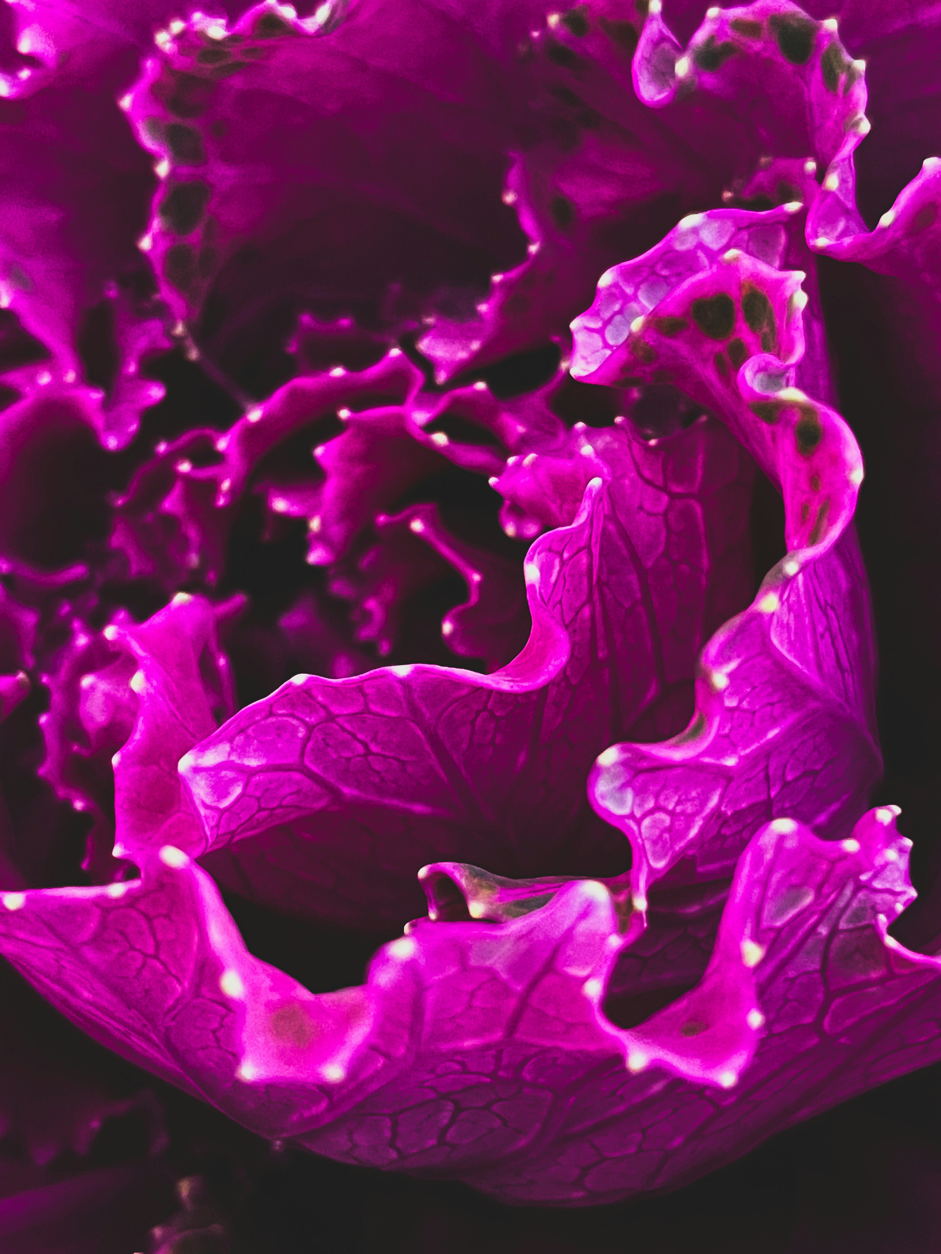 Scaling Women-Led Microgrants into Sustainable Side Hustles — Advanced Strategies for 2026