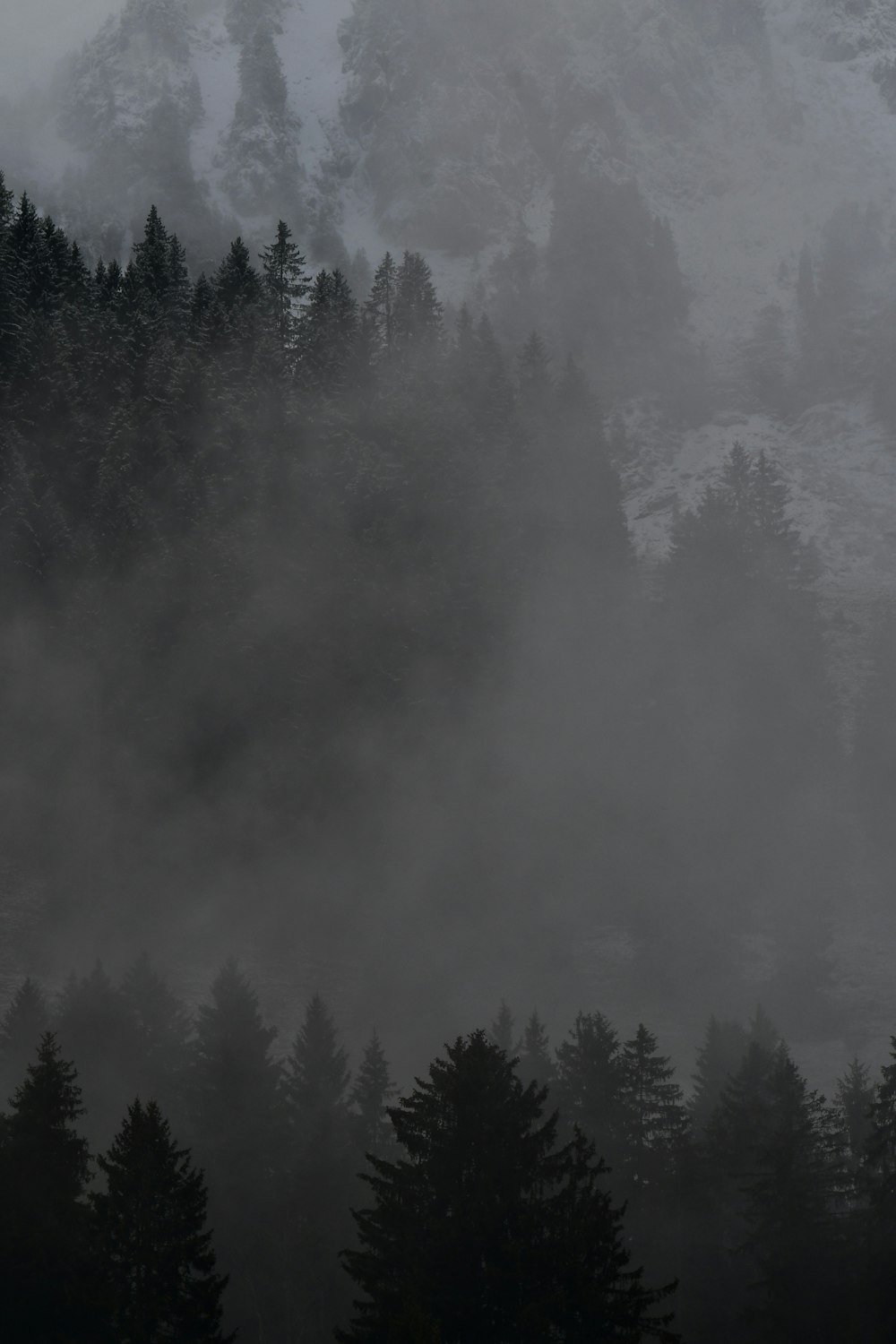 a mountain covered in fog with trees in the foreground