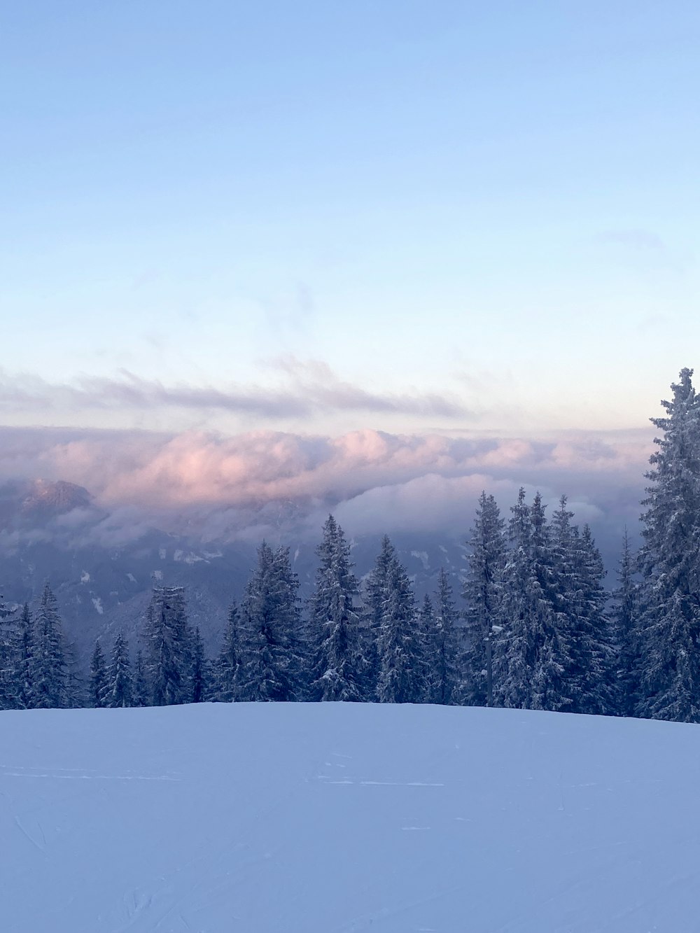 a person on skis standing in the snow