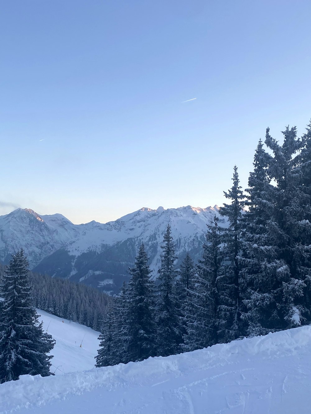 a snow covered mountain with pine trees in the foreground