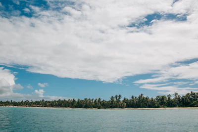 A pristine white sandy beach lined with swaying palm trees under a clear blue sky.