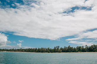 A pristine white sandy beach lined with palm trees and a bright blue sky overhead.