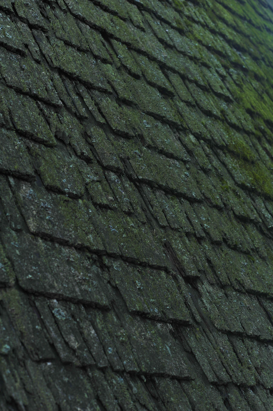 Sample imagery of close-up roof repair work
