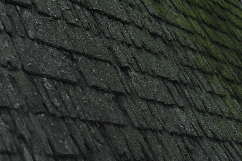 a close up of a roof with moss growing on it