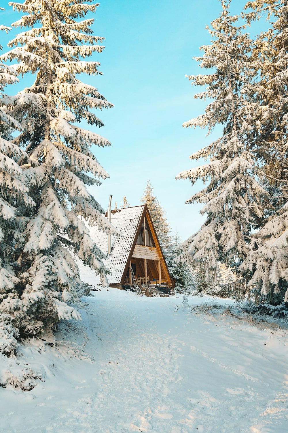 a cabin in the middle of a snowy forest