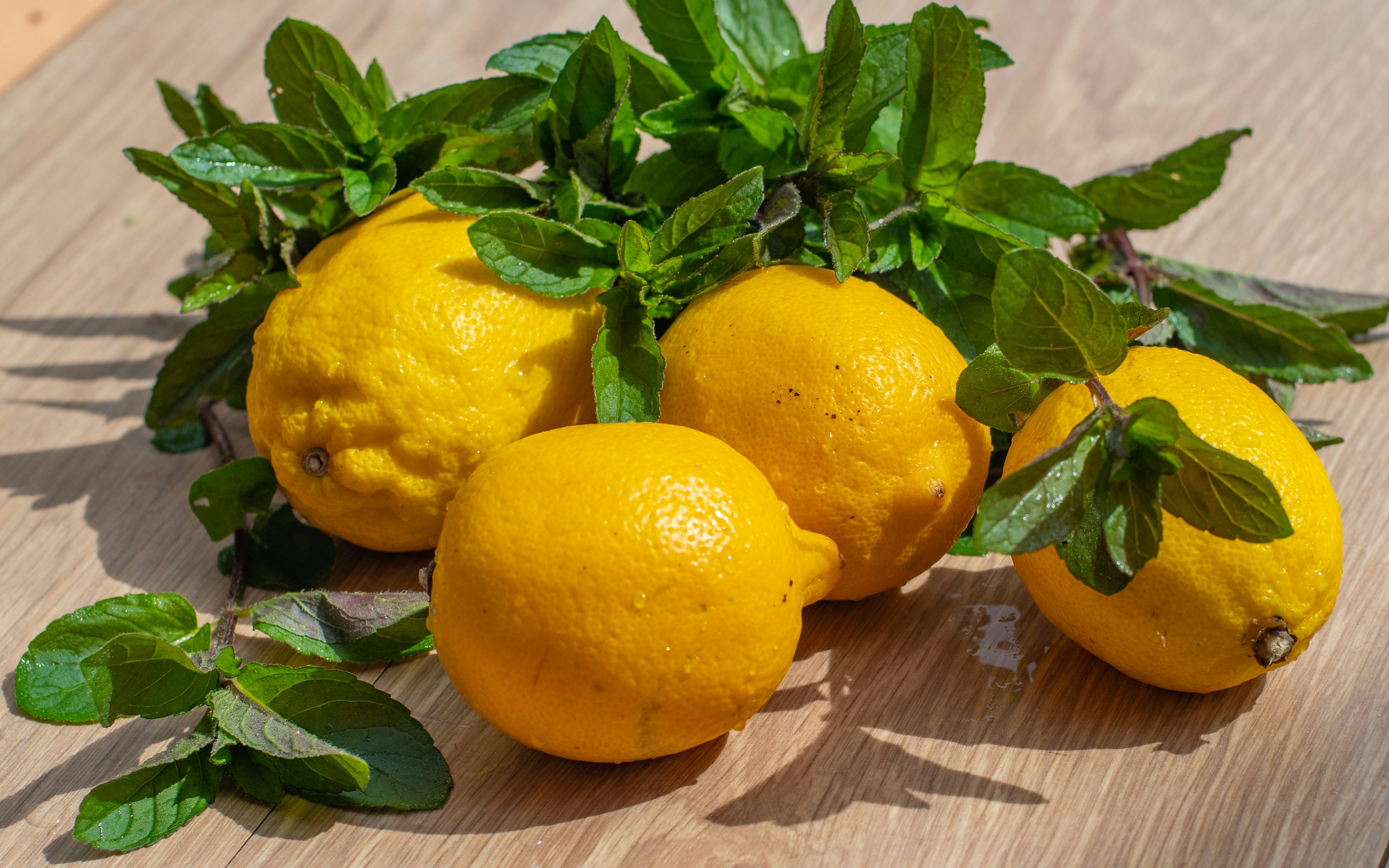 Photo by nataliaraylenegusakova