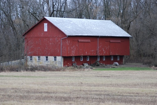 A young farmer painting a weathered barn door with bright red paint.