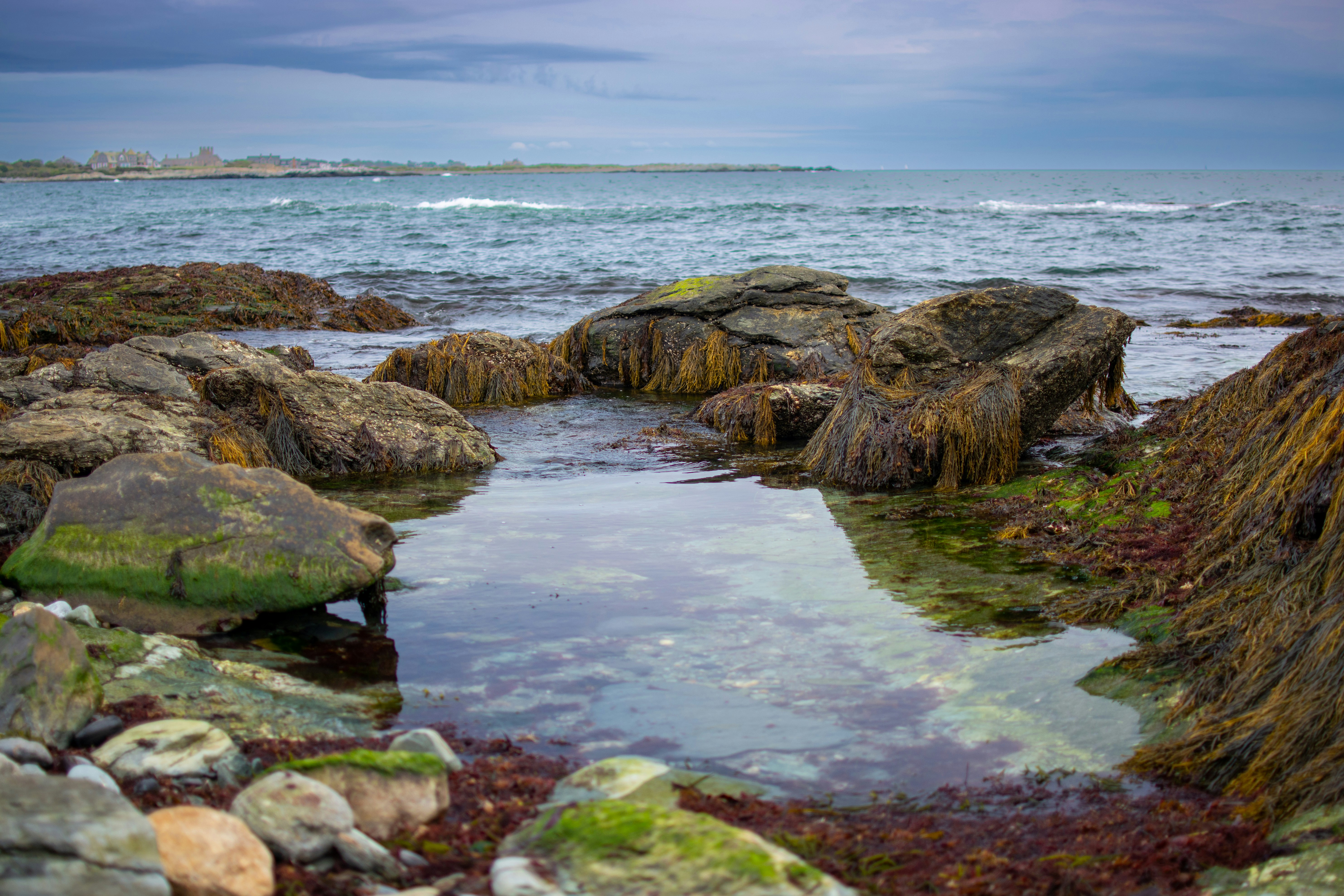 Photo by seewonderfulthings