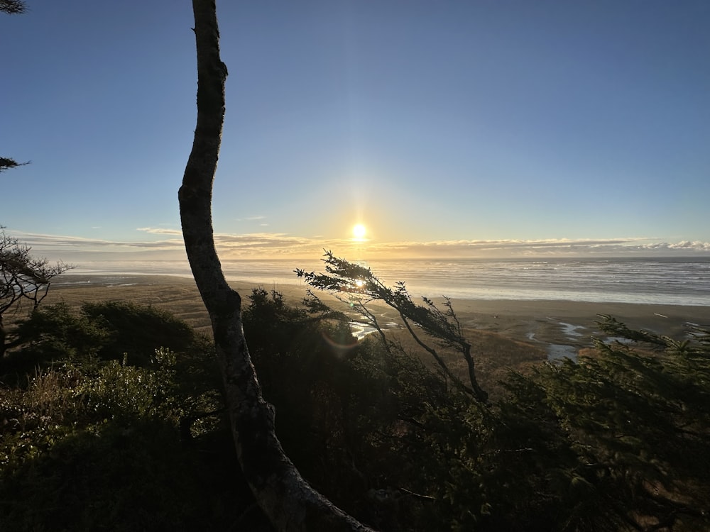 the sun is setting over the ocean from a hill