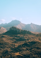 A serene landscape showcasing the beauty of our region.