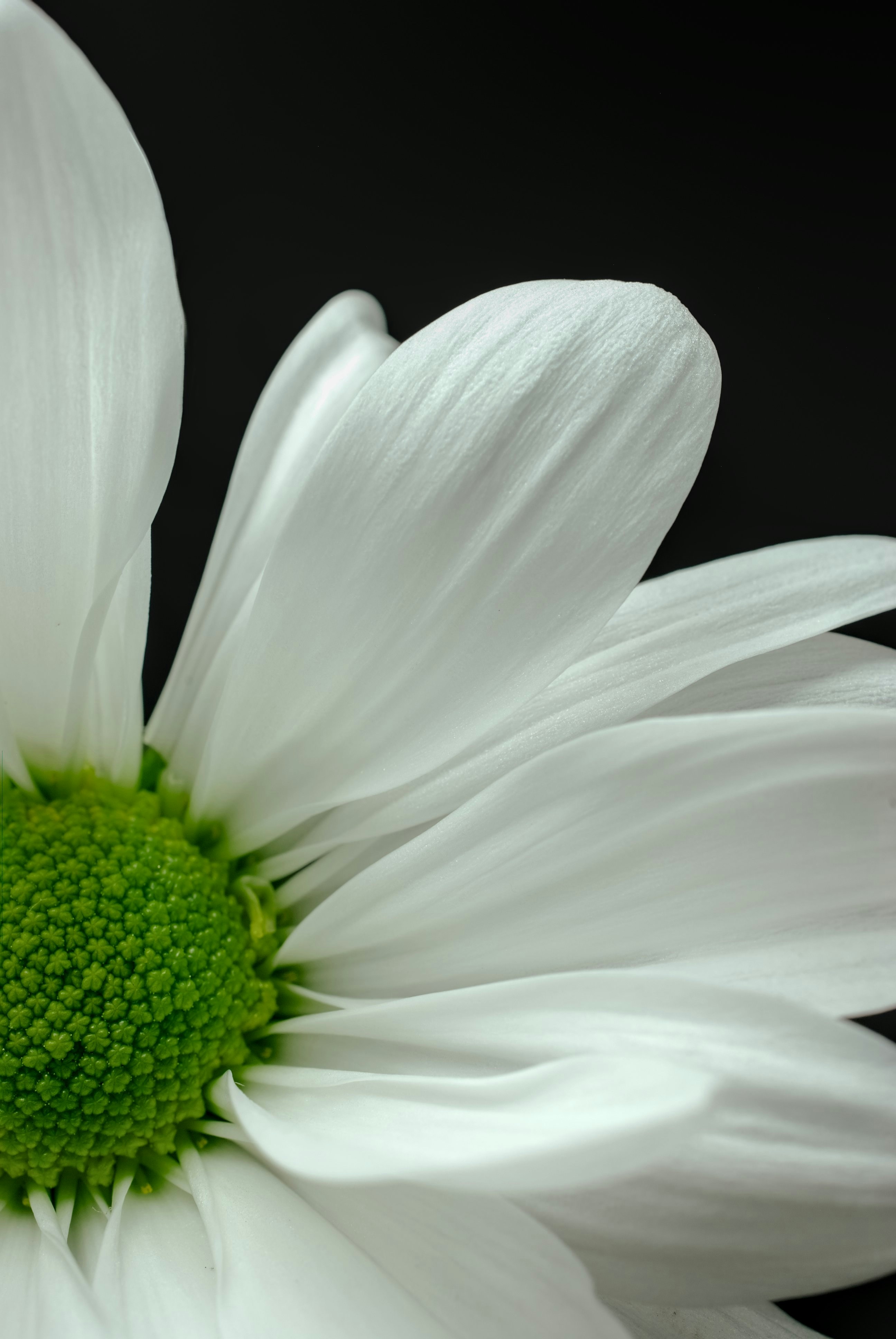 Photo by btcarpenter