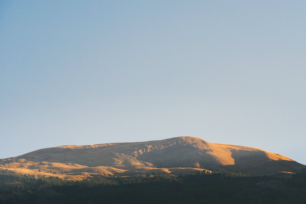 a mountain with a few trees on the side of it