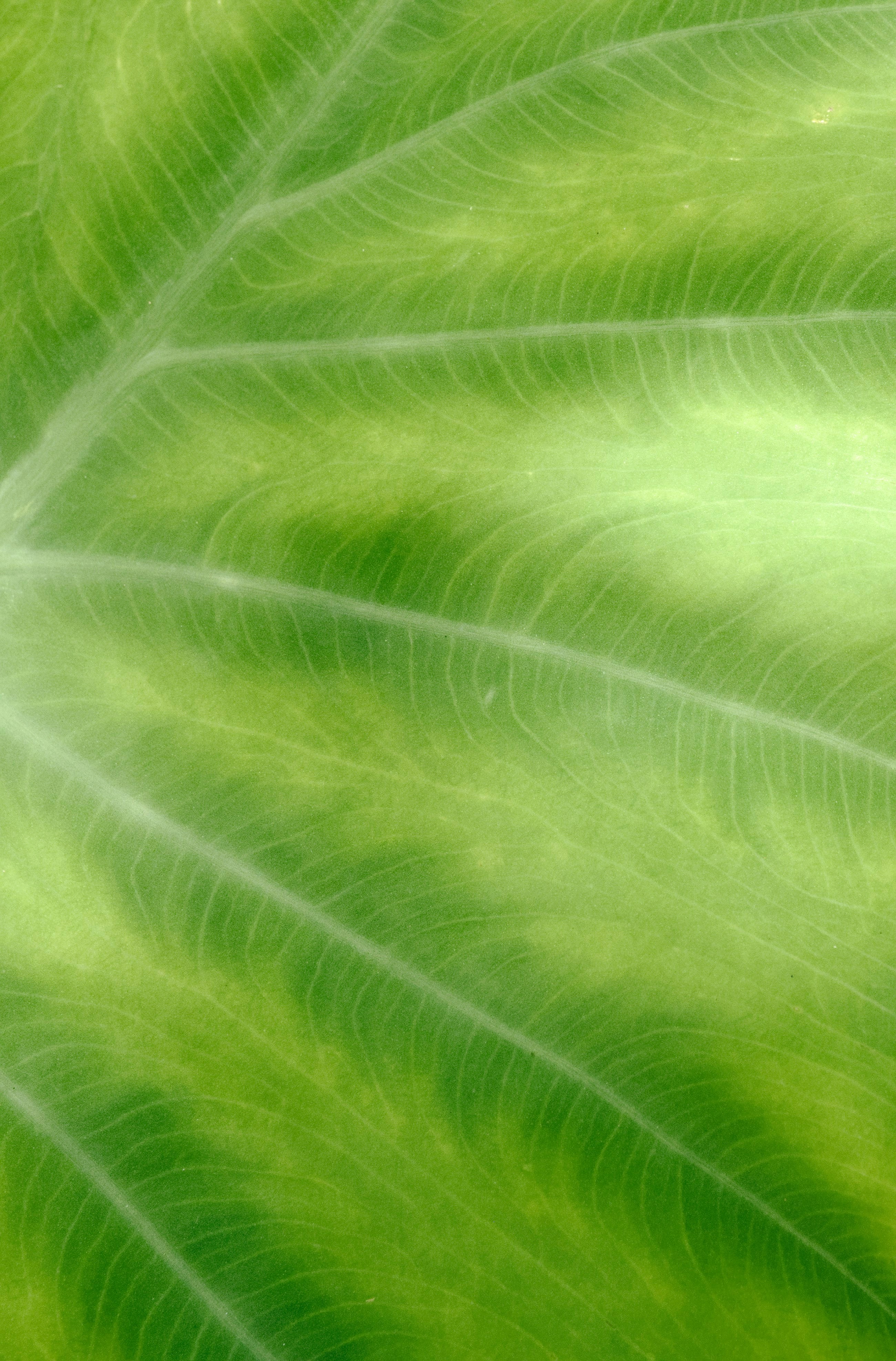 Samsung Galaxy A35 image 2