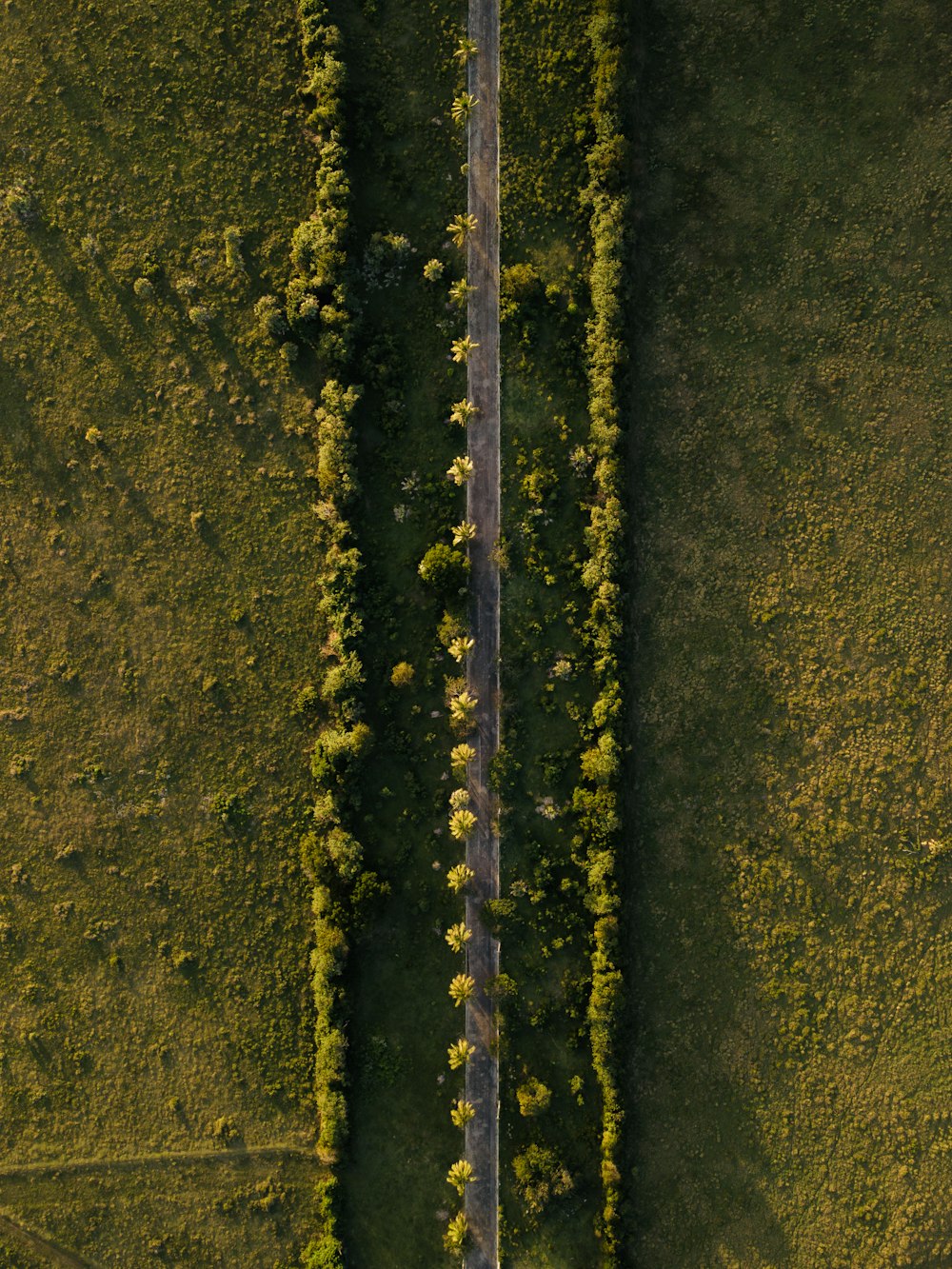 an aerial view of a road in the middle of a field