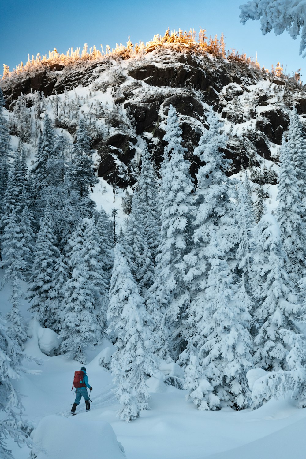 a man riding skis down a snow covered slope