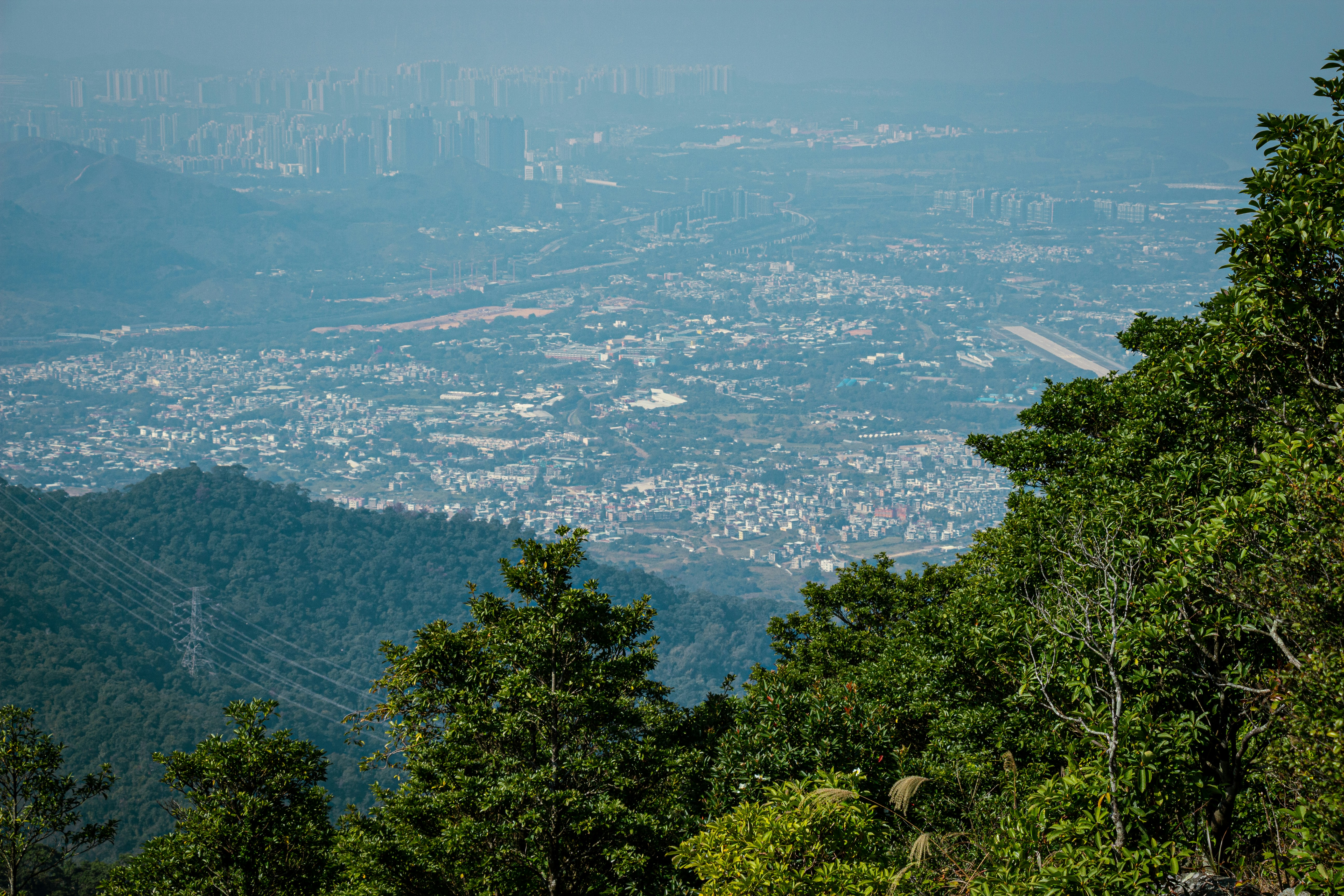 Photo by shreyaantech