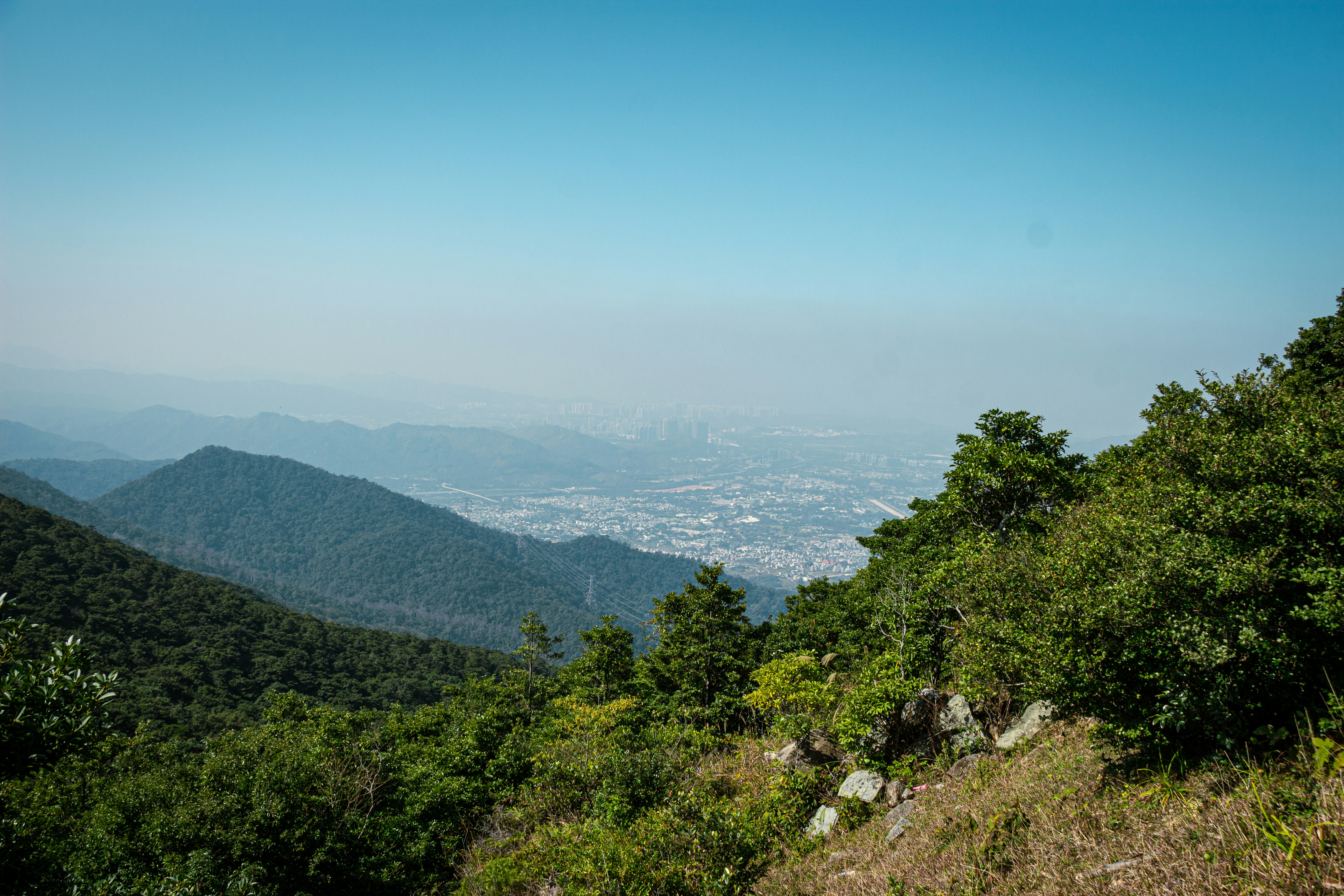 Photo by shreyaantech