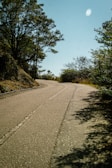 an empty road with trees on both sides