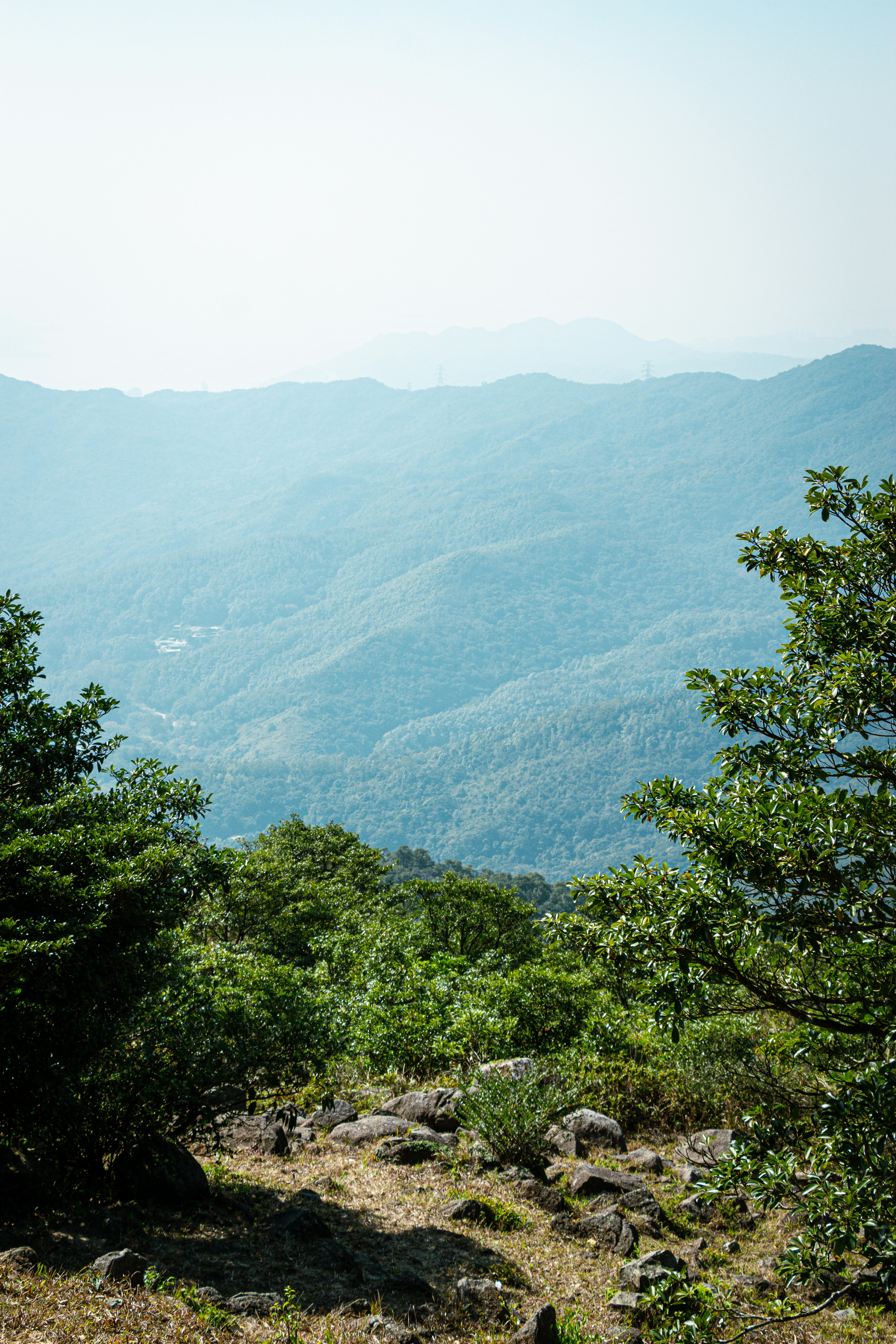 Photo by shreyaantech