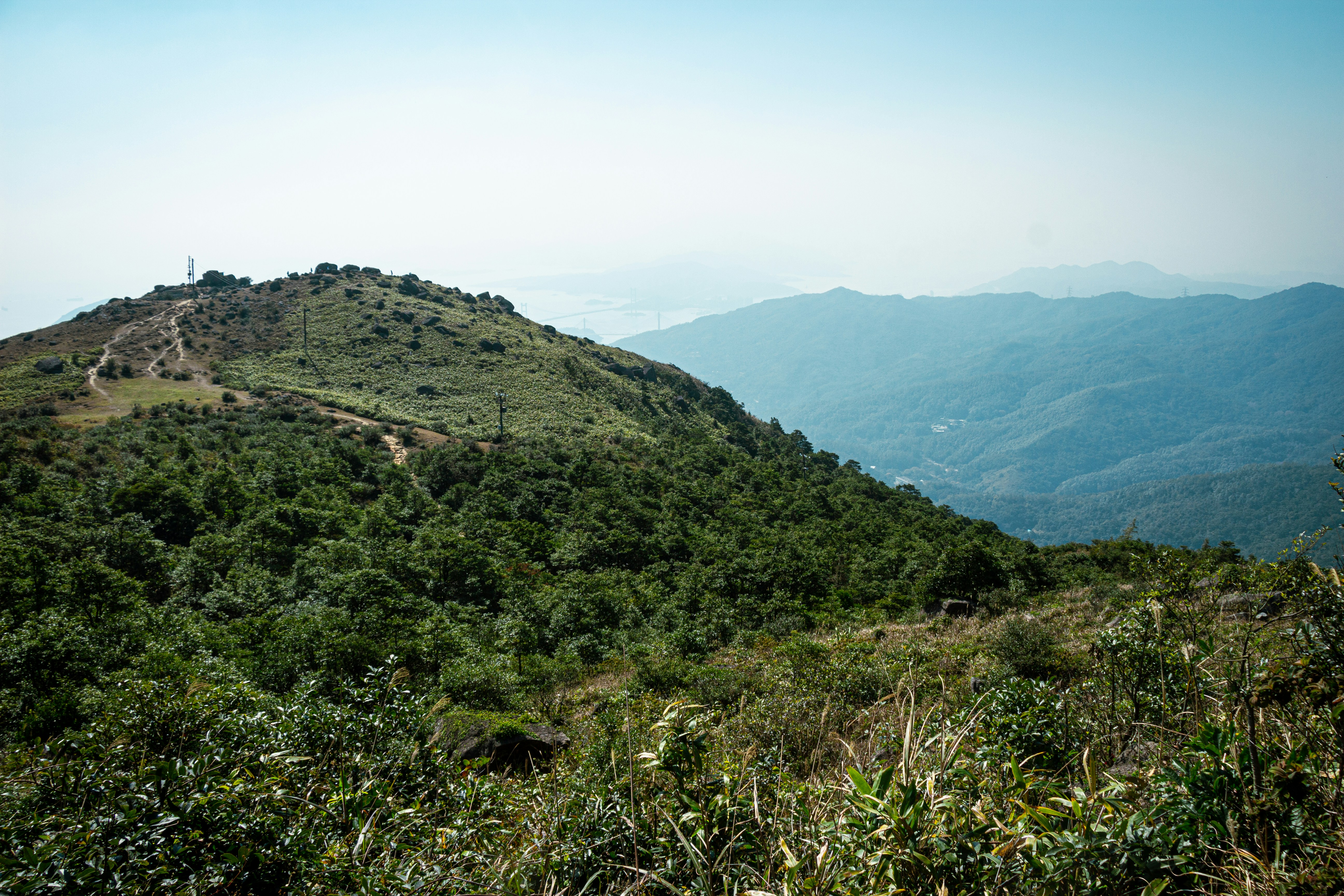 Photo by shreyaantech