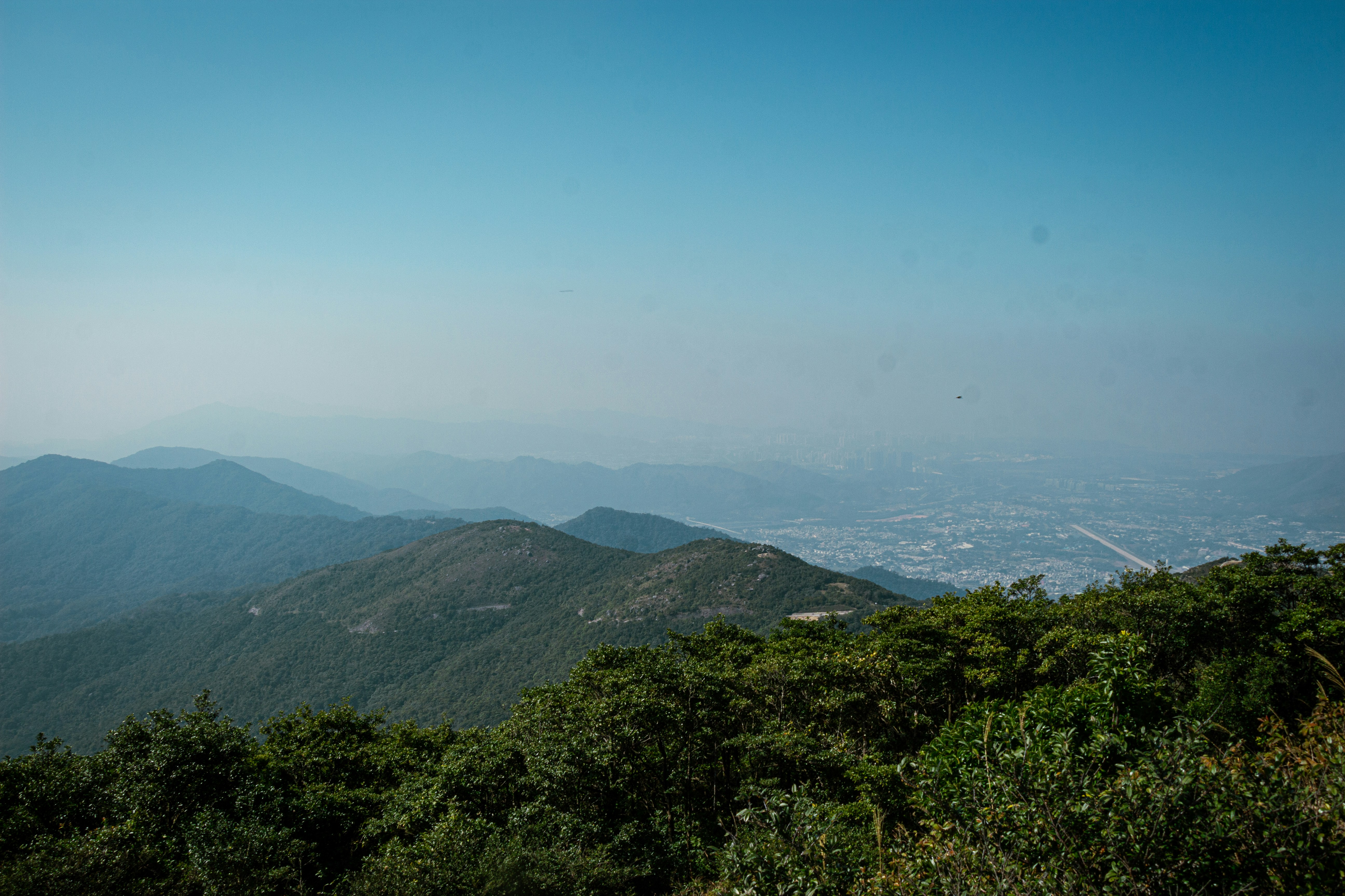 Photo by shreyaantech