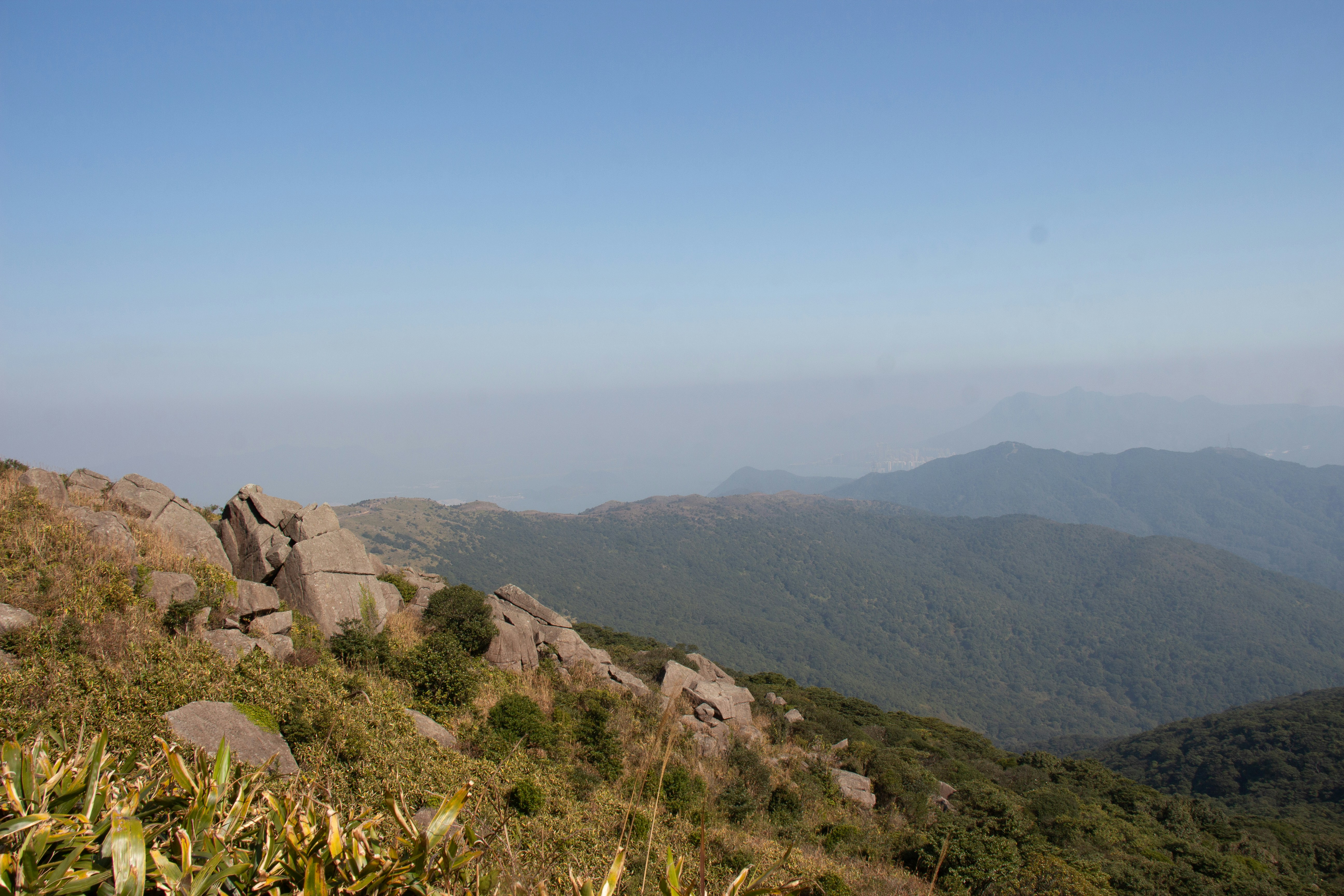 Photo by shreyaantech