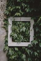 Finished garden frame hanging on a white wall with lush greenery inside