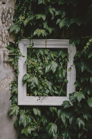 Finished garden frame hanging on a white wall with lush greenery inside