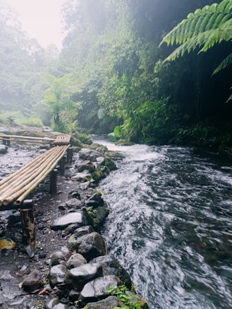 A serene natural scene featuring a flowing river bordered by lush green foliage. A rustic wooden bench made of logs lines the rocky edge of the river, offering a spot to sit and enjoy the tranquil surroundings. The dense vegetation and misty atmosphere create a peaceful and calming environment.