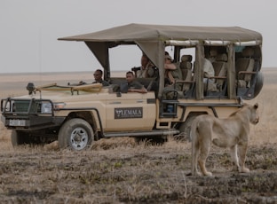 a group of people in a safari vehicle