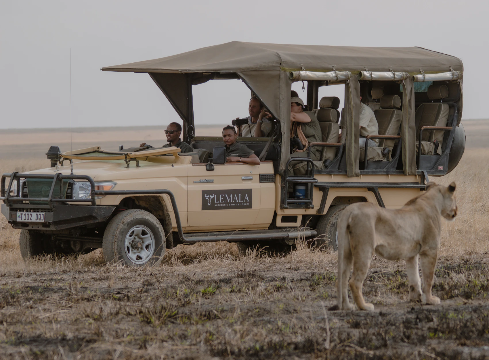 Travellers watching wildlife from a safari vehicle in Tanzania