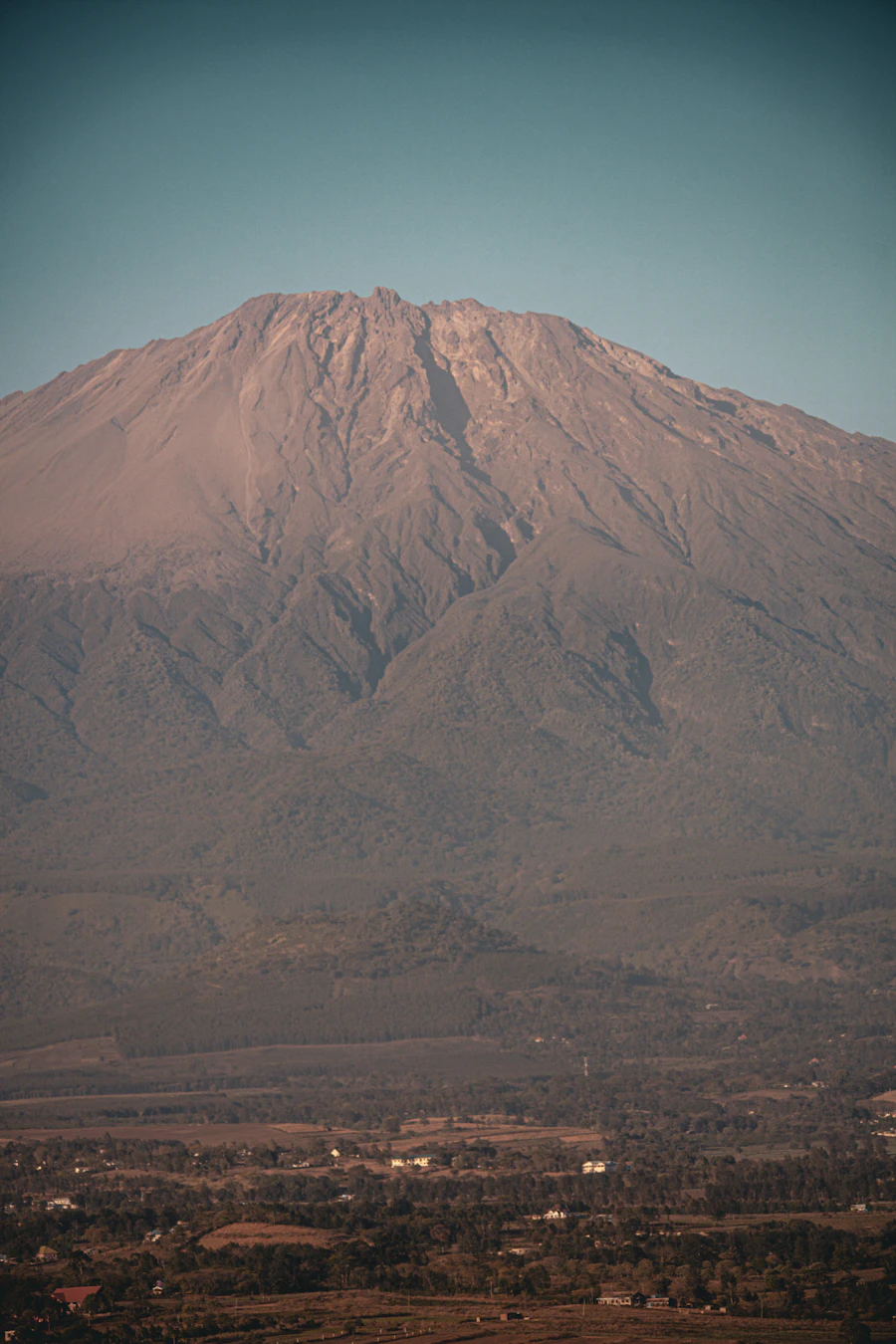 Mount Meru and wildlife in Arusha National Park