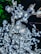 A close-up view of artificial flowers with built-in lights, resembling cherry blossoms on branches. The flowers are illuminated, creating a bright and sparkling effect against a dark background with a hint of green foliage.