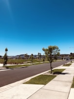 Construction workers laying asphalt on a new suburban street lined with young trees.