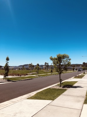Freshly paved asphalt road winding through a suburban neighborhood under a clear blue sky.