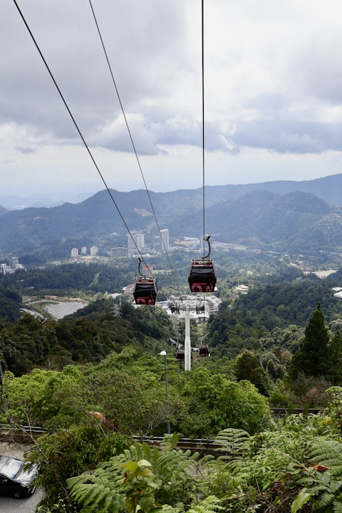 a couple of gondola lifts above a lush green forest
