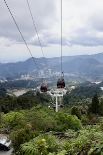 a couple of gondola lifts above a lush green forest