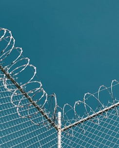 A section of a chain-link fence topped with coiled barbed wire set against a clear blue sky. The wires are shiny and sharp, indicating security or restriction.