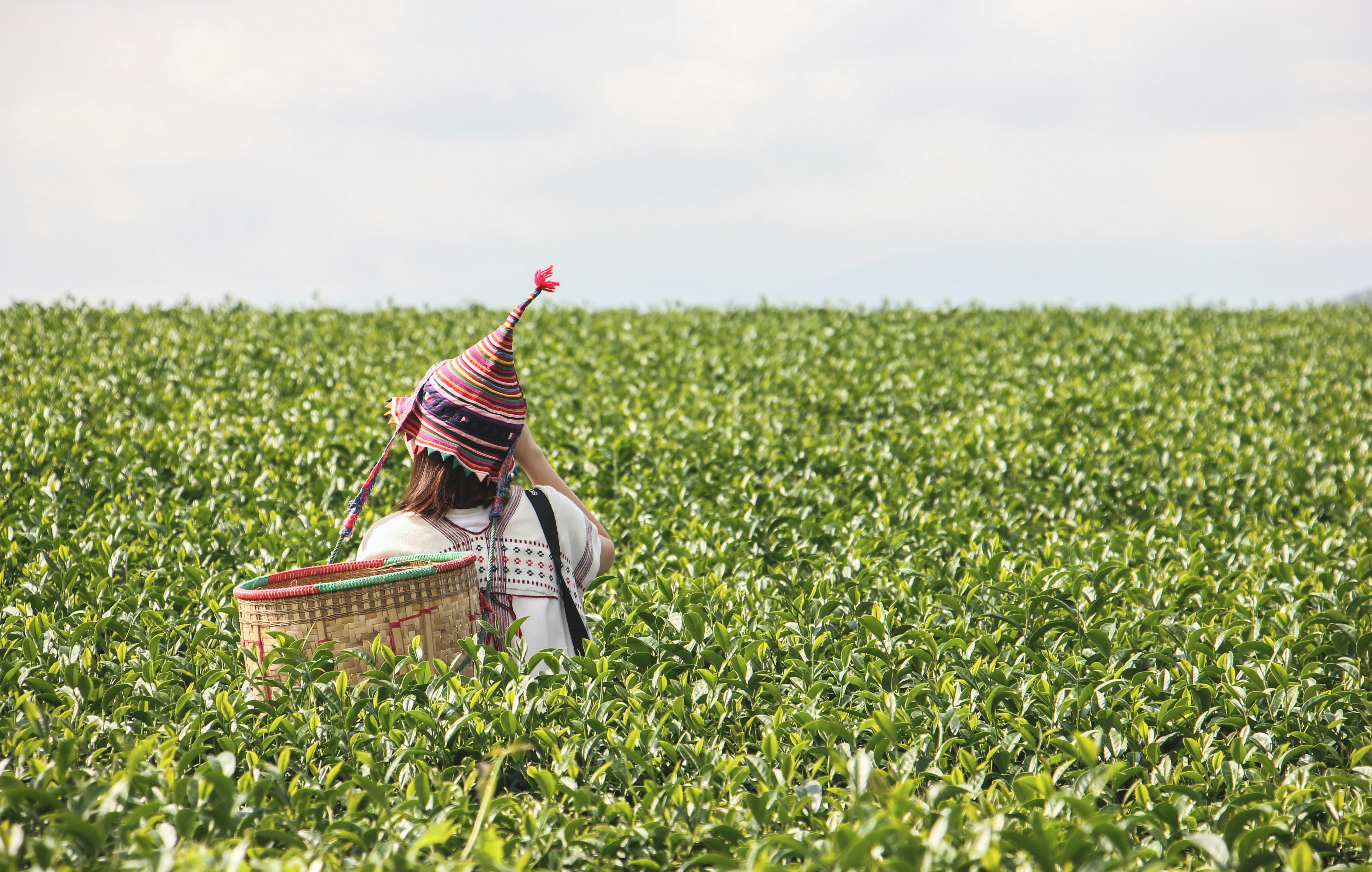 Photo by wheredidshegothistime