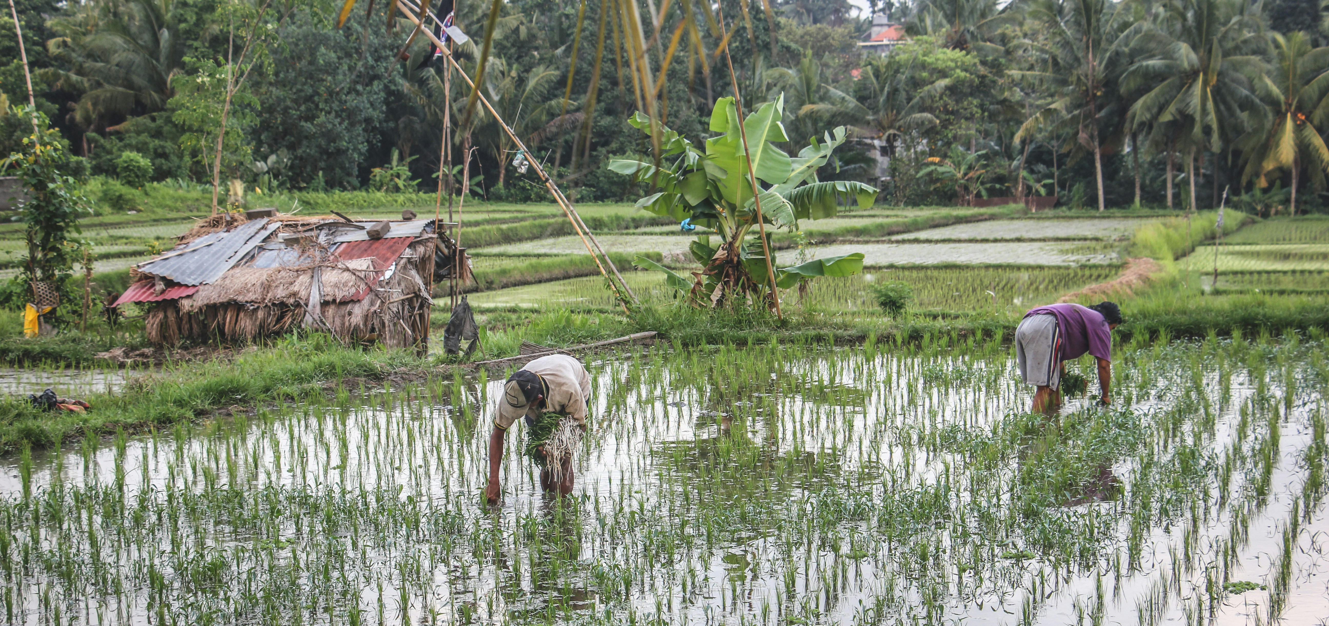 Photo by wheredidshegothistime