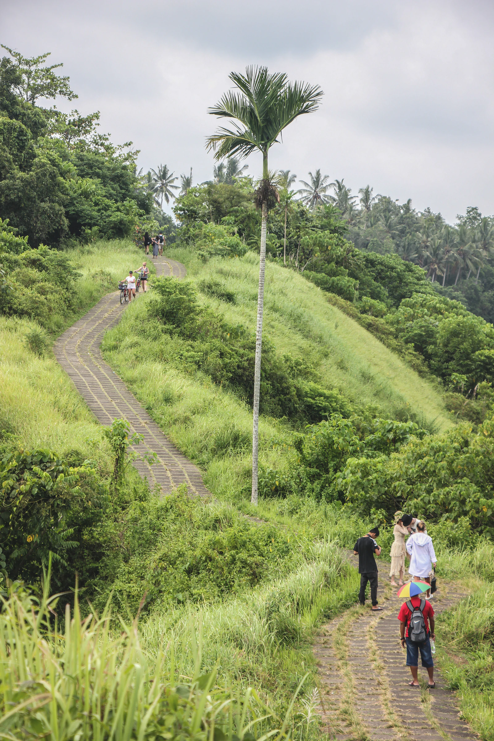 3-Day Ubud Gourmet Raw Food & Permaculture Culinary Academy