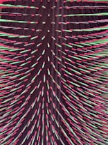The image displays a close-up view of a spiked structure with numerous sharp, elongated, and colorful projections arranged in a radial pattern. The spikes are predominantly colored in shades of red, pink, and green, set against a dark background that enhances the vibrancy of the spikes.