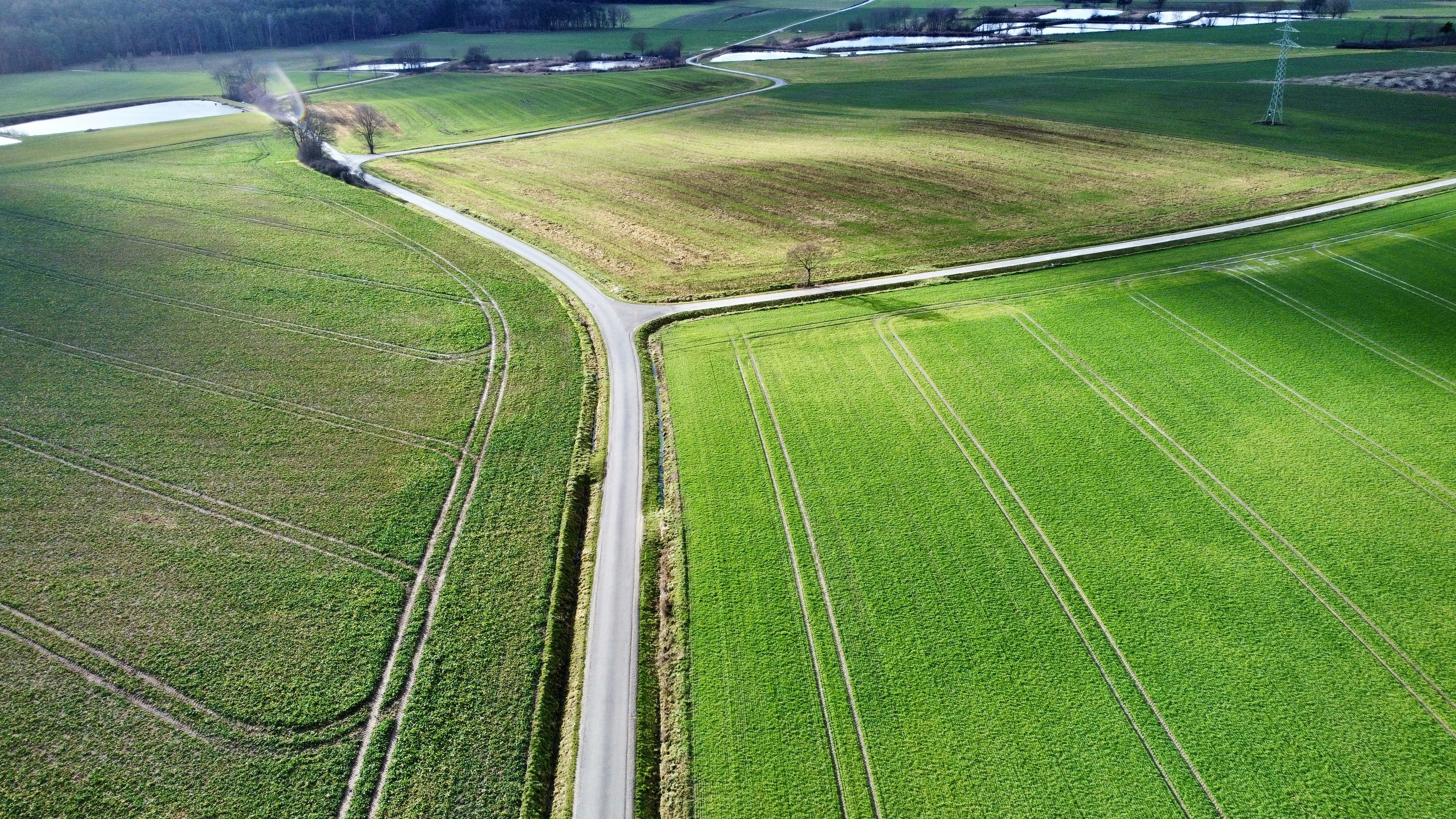 Photo by goosebumpsteam