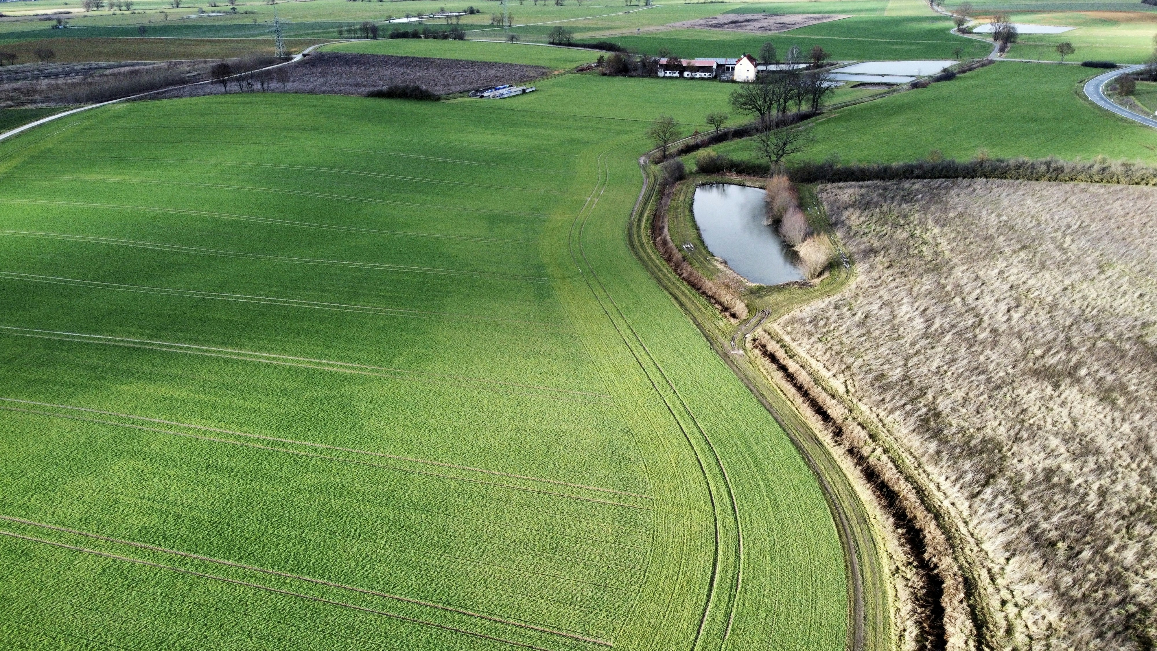 Photo by goosebumpsteam