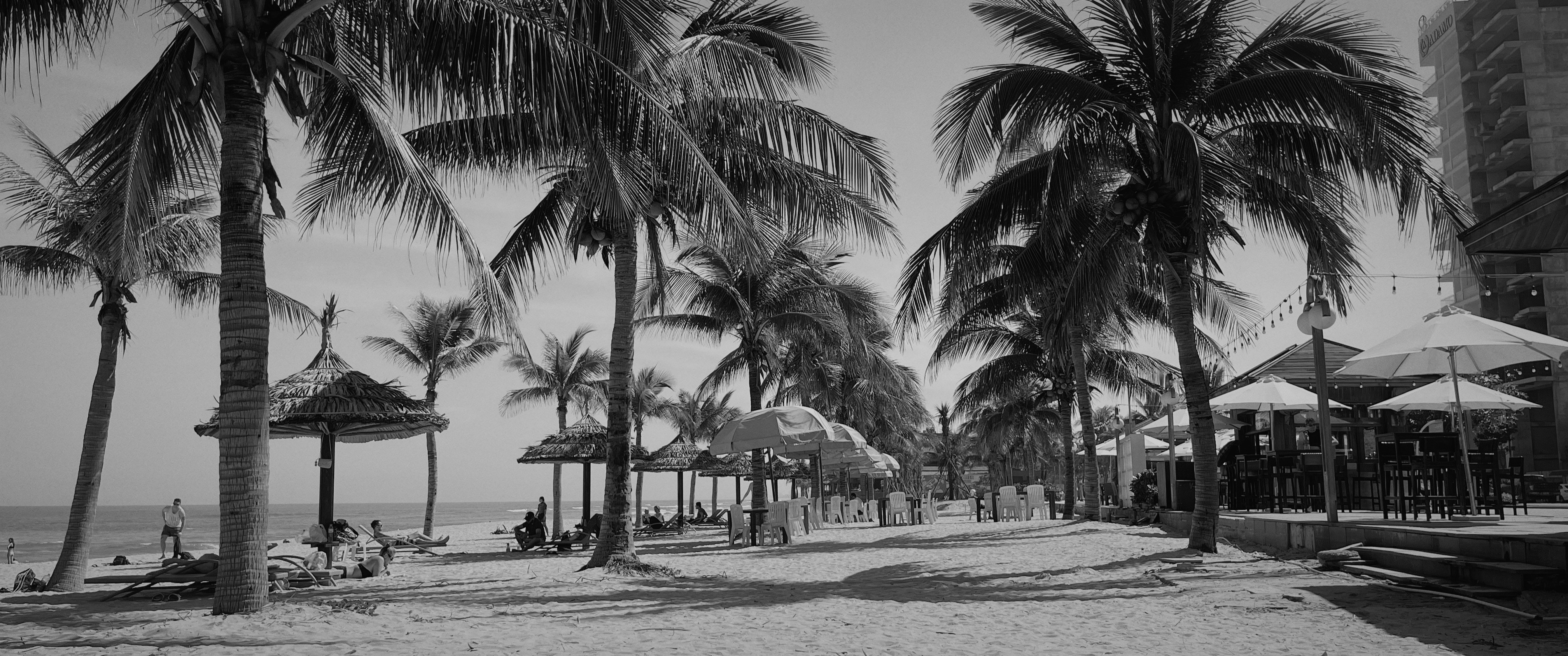 Photo by dangnguyen43