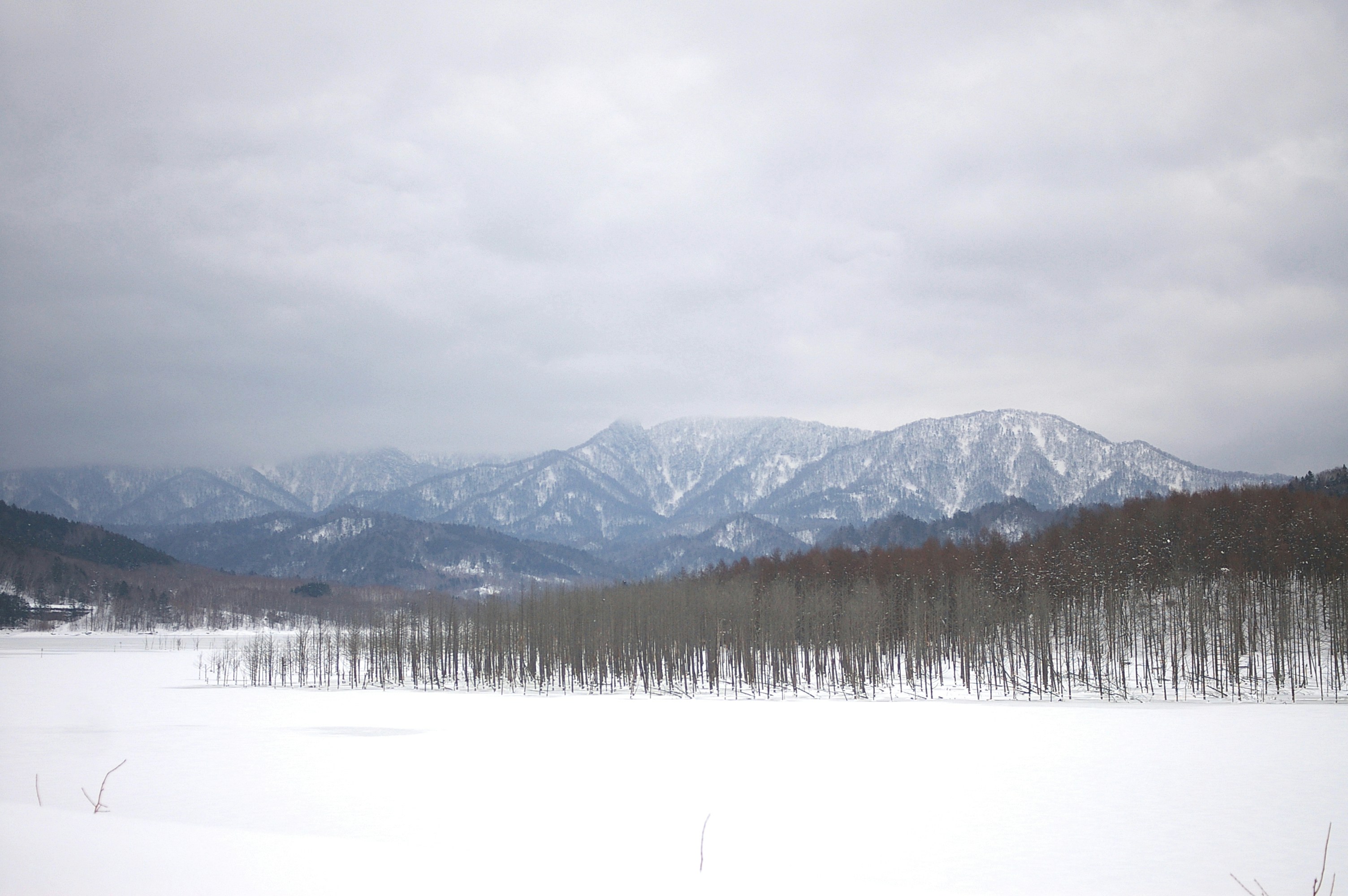 a snow covered field with mountains in the background