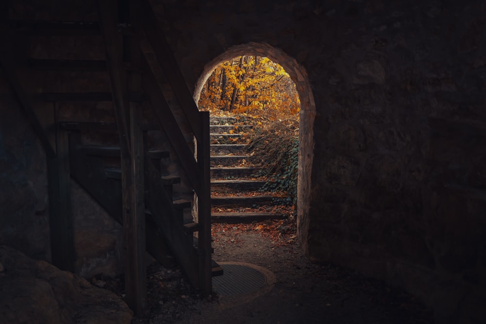 a dark tunnel with stairs leading into a forest